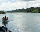 Image of Boating Through Creeks, Baratang Inland, Andaman Islands.