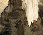 Image of Limestone caves, Baratang Inland, Andaman Islands.