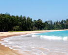 Image of Radhanagar beach , Havelock Island, Andaman Islands.