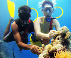 Image of Scuba Diving, Havelock Island, Andaman Islands.