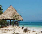 Image of Vijay Nagar beach, Havelock Island, Andaman Islands.