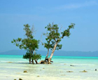 Image of Butler Bay Beachis, Little Andaman, Andaman Islands.