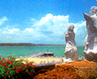 Image of Anmol Driftwood Museum, Mayabunder Island, Andaman Islands.