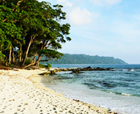 Image of Avis Island, Mayabunder Island, Andaman Islands.