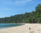 Image of Pokhadera Beach, Mayabunder Island, Andaman Islands.